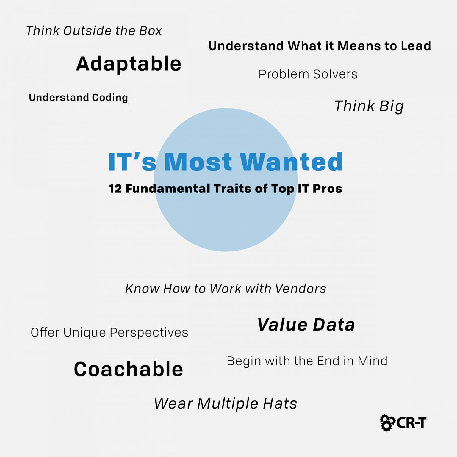 Most Wanted IT Traits 12 Traits of Top IT Professionals CRT